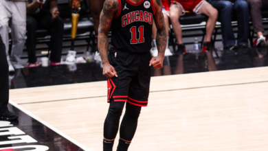 Bulls